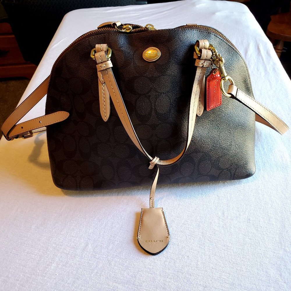 Signature Print Coach Carryall Bag